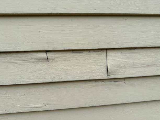 Best Hoarding Cleanup  in Lodi, NJ